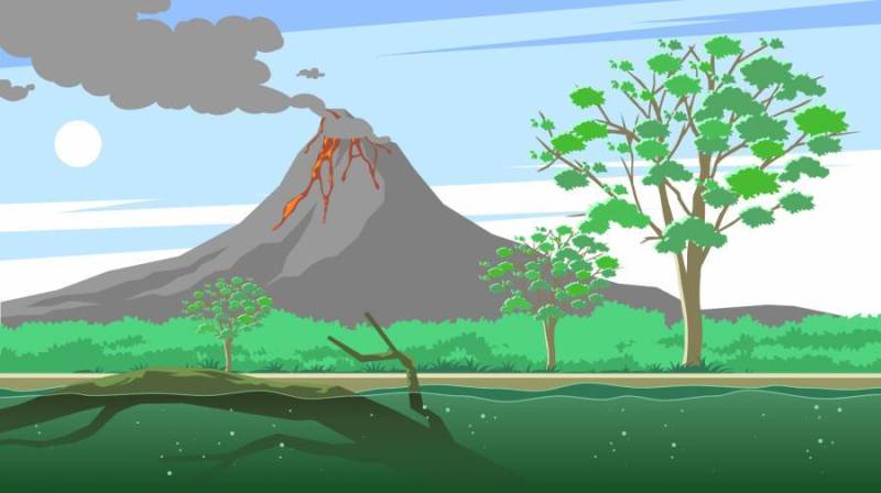 胶树和火山 矢量
