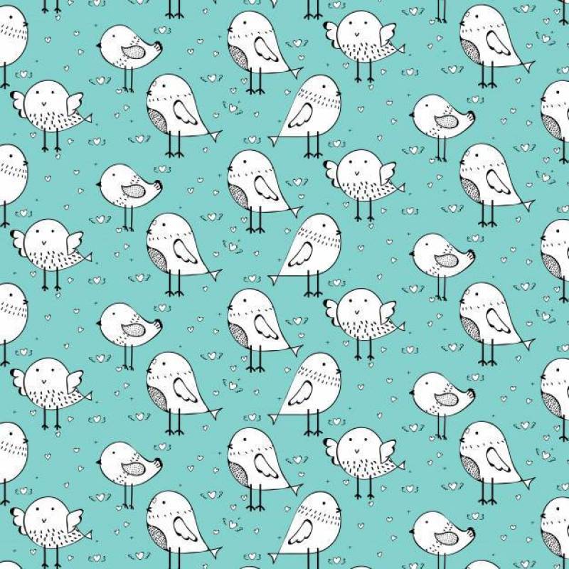可爱的鸟图案背景。