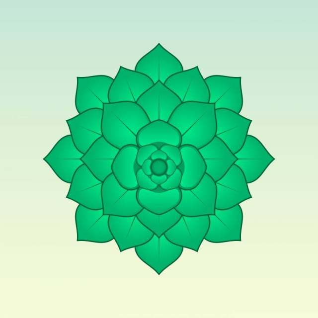 绿色的多汁植物插图