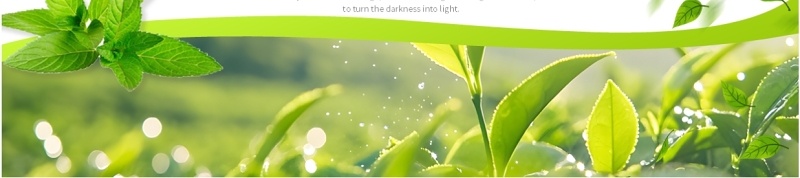 绿色简约小清新春天来了PPT通用模板