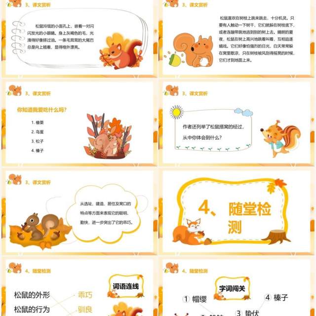 部编版五年级语文上册松鼠课件PPT模板 部编版五年级语文上册松鼠课件PPT模板