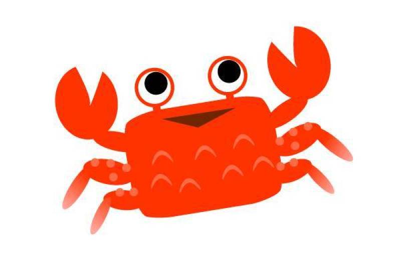 可爱的螃蟹
