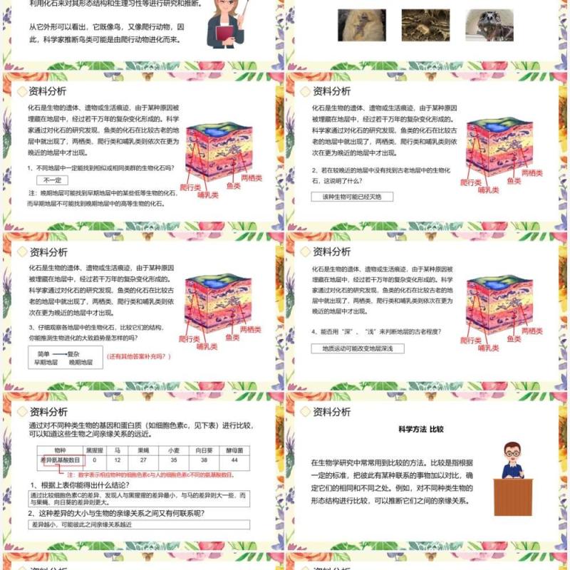 部编版八年级生物下册生物进化的历程课件PPT模板 部编版八年级生物下册生物进化的历程课件PPT模板