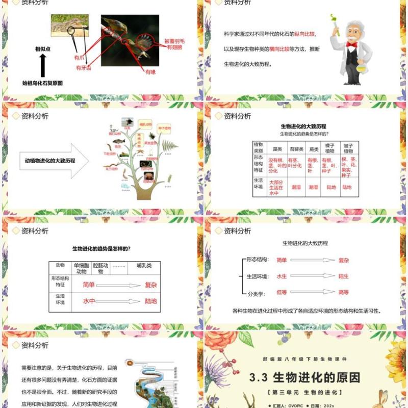 部编版八年级生物下册生物进化的历程课件PPT模板 部编版八年级生物下册生物进化的历程课件PPT模板