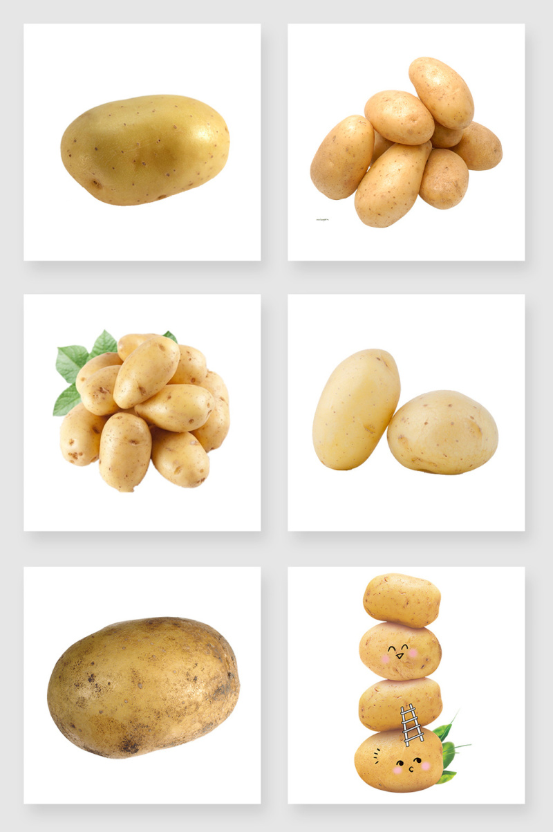 产品实物土豆设计素材