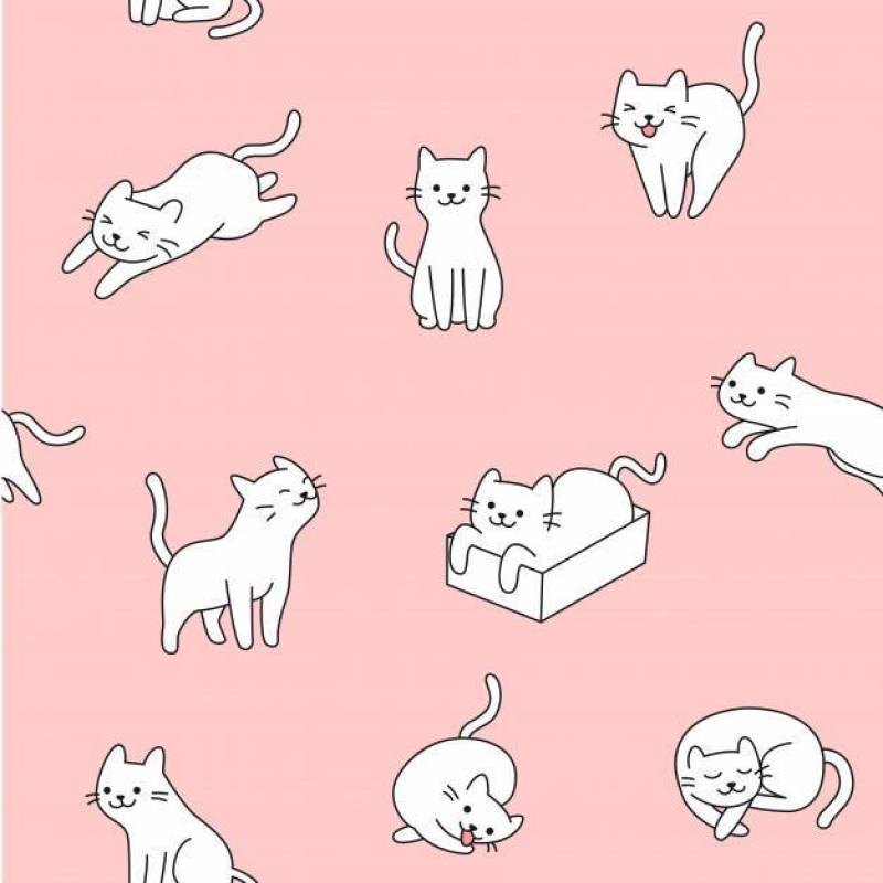 无缝可爱的白色猫图案插画