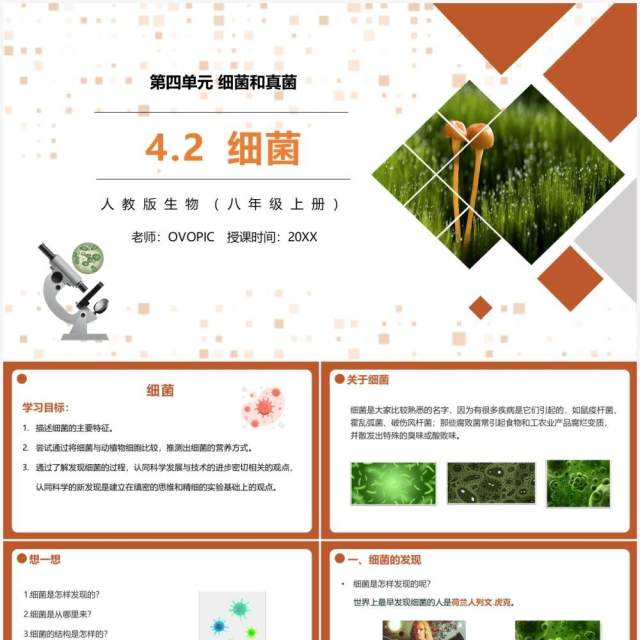 部编版八年级生物上册细菌PPT模板