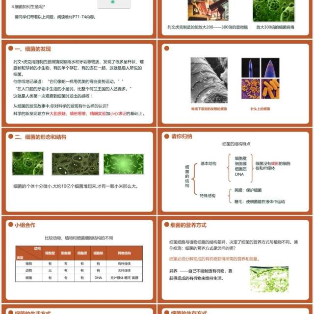 部编版八年级生物上册细菌PPT模板