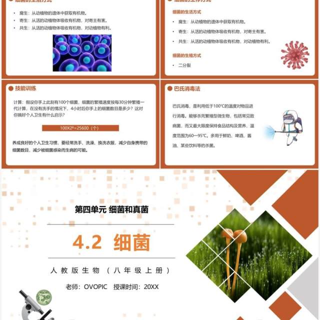 部编版八年级生物上册细菌PPT模板 部编版八年级生物上册细菌PPT模板