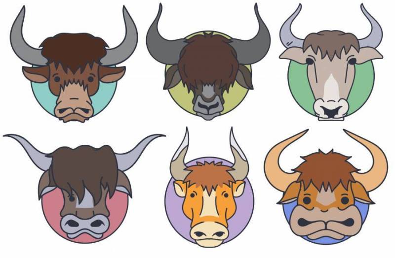 矢量包的牦牛头 - 卡通风格