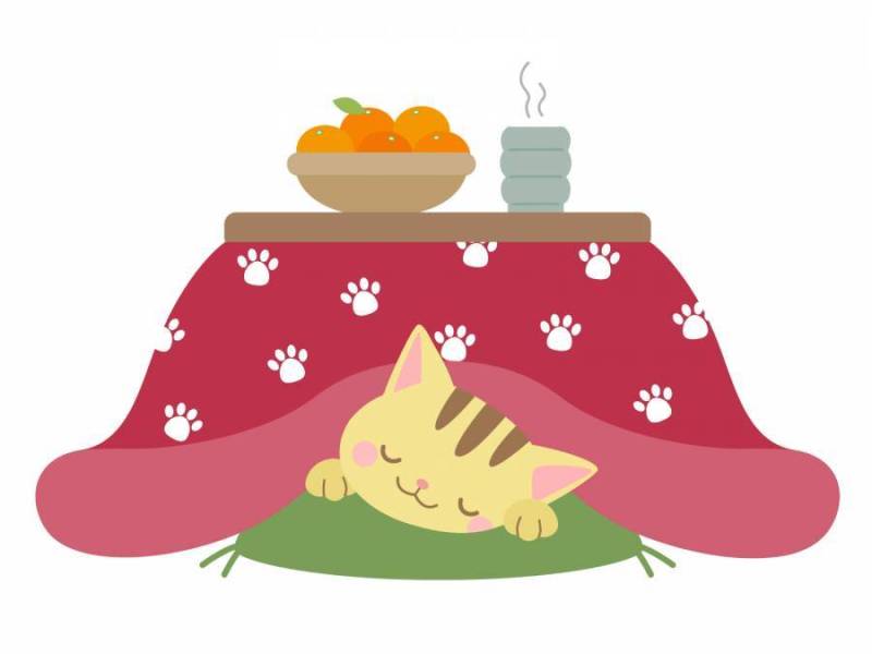 睡觉在kotatsu的猫