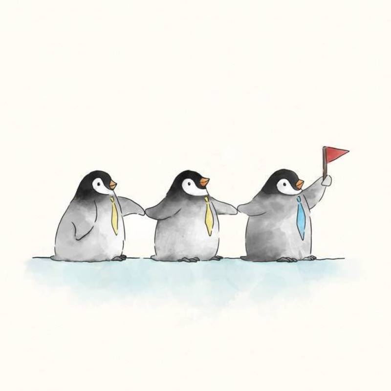 与旗子的三只逗人喜爱的企鹅