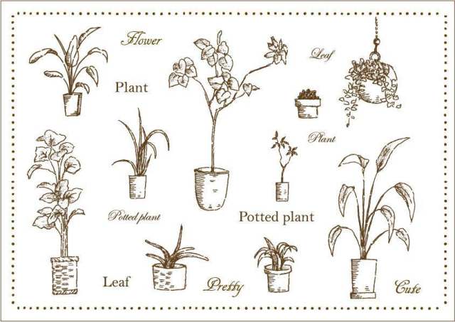 植物叶子手绘叶集