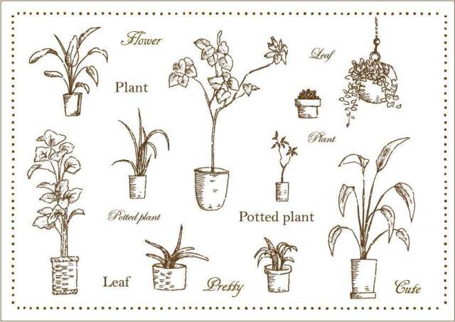 植物叶子手绘叶集