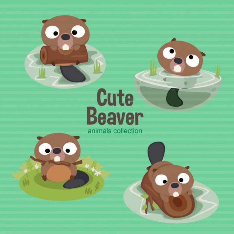 Cute Beaver Animals Collection