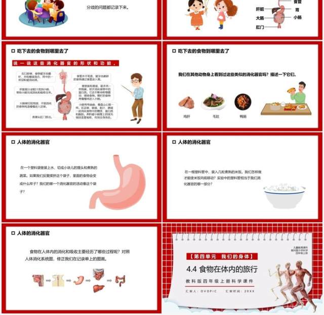 教科版四年级科学上册食物在体内的旅行课件PPT模板 教科版四年级科学上册食物在体内的旅行课件PPT模板