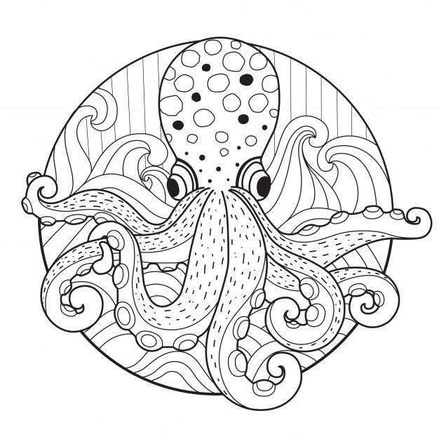 章鱼的手拉的例证在zentangle样式的