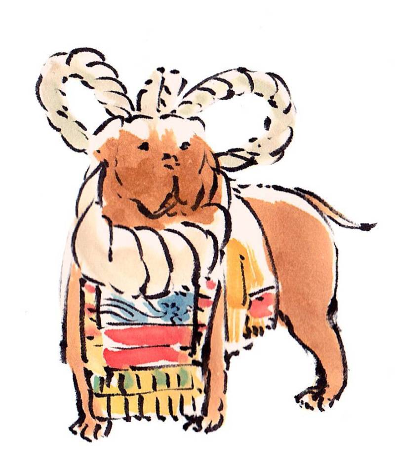 “土佐狗”手绘素材