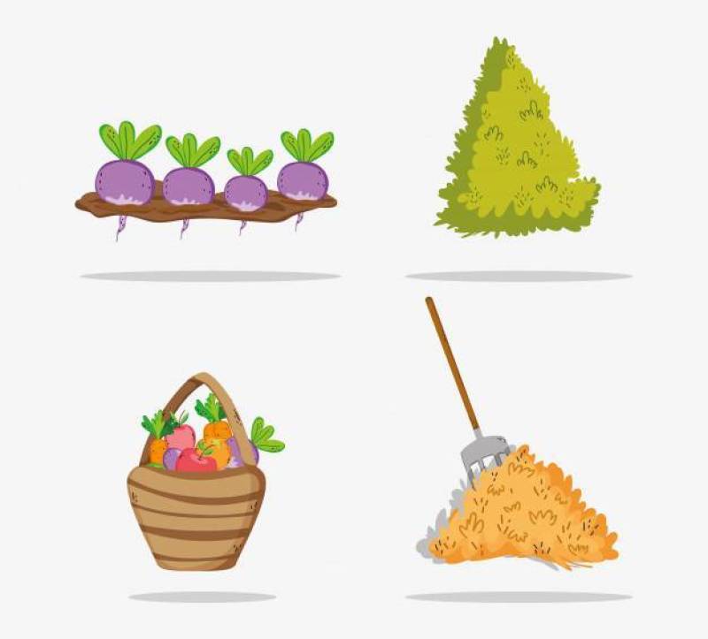 Set of farm icons