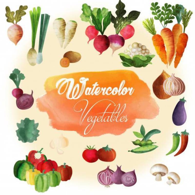 水彩蔬菜