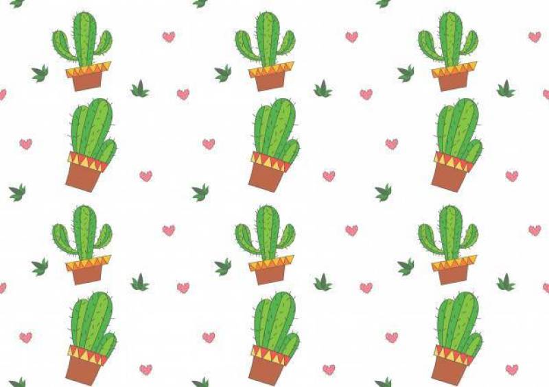 仙人掌无缝模式矢量