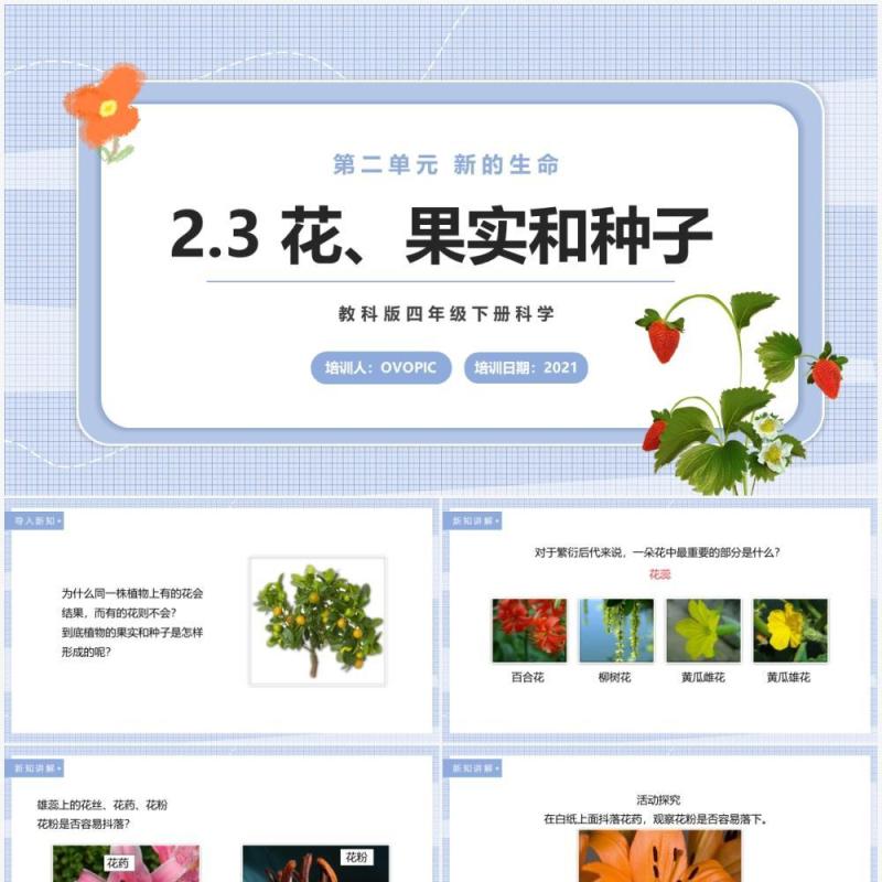 教科版四年级下册花、果实和种子课件PPT模板