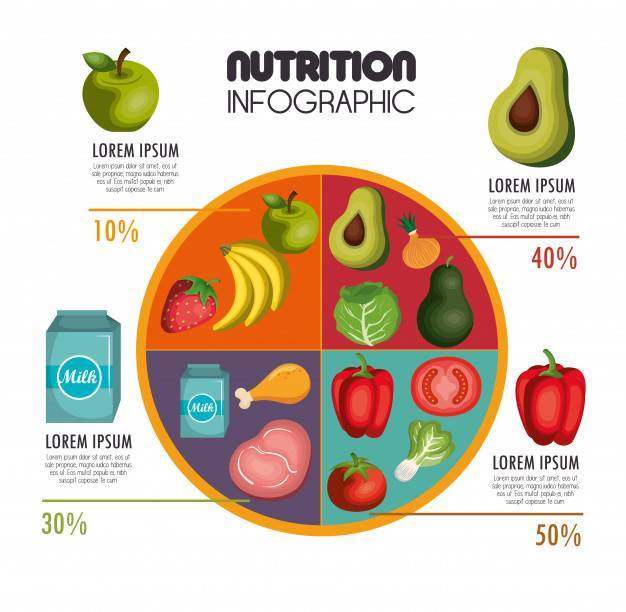 营养食物infographic象导航例证eps 10