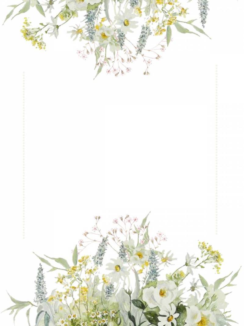 花框200 - 浅色花框，白色野玫瑰