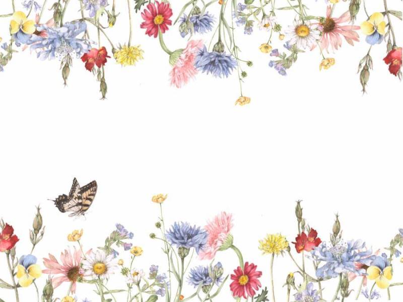 花框架175 - 漂亮的花园的装饰框架