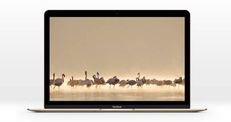 新的MacBook Psd Mockup