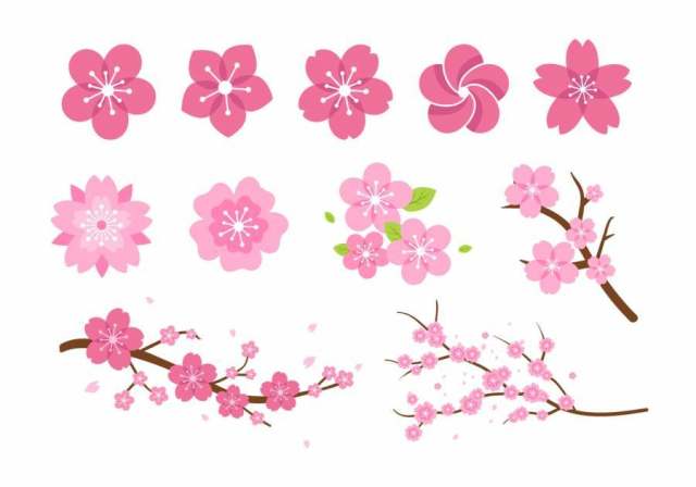 粉红色的花朵矢量