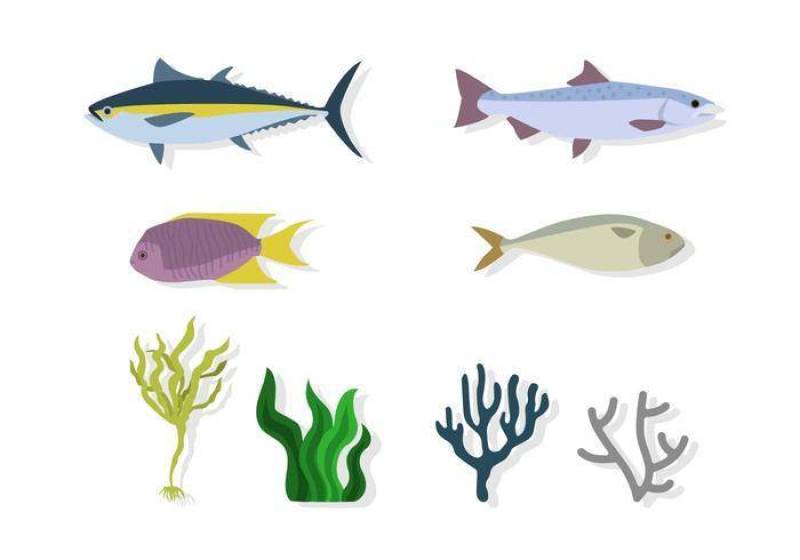 平坦的海洋环境载体