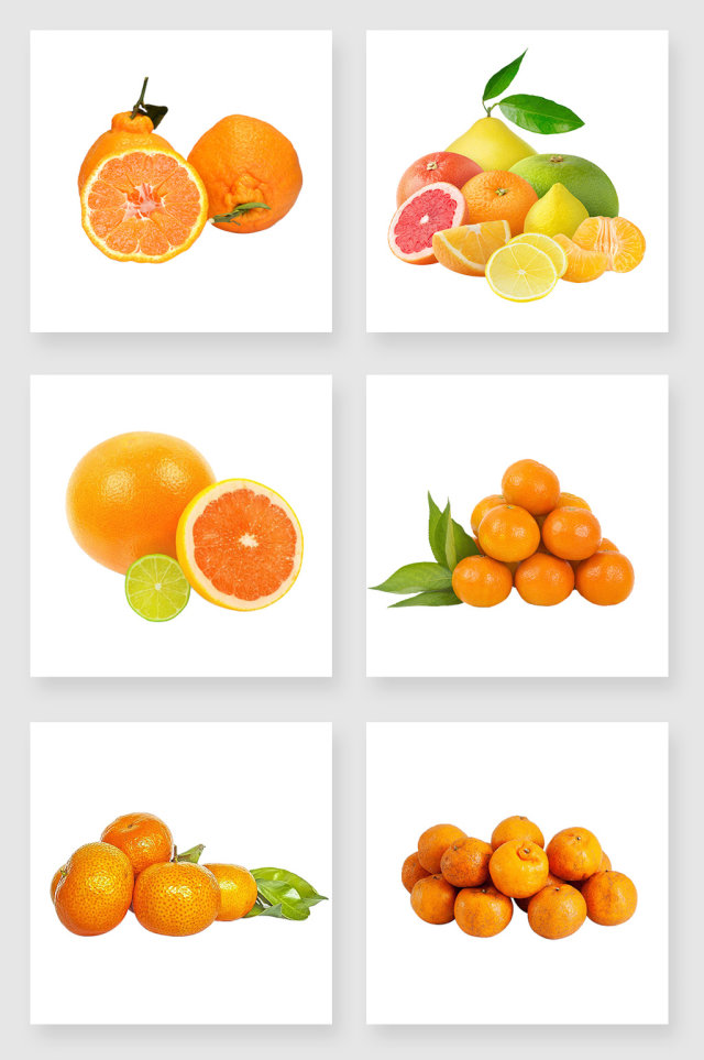 美味的柑橘设计元素