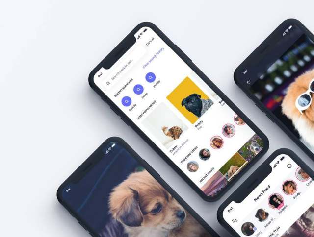 80多个独特的iOS X屏幕宠物社交网络和健康跟踪应用程序UI工具包(含sketch和XD源文件) 80多个独特的iOS X屏幕宠物社交网络和健康跟踪应用程序UI工具包(含sketch和XD源文件)