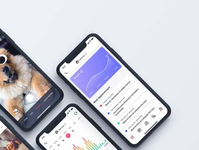 80多个独特的iOS X屏幕宠物社交网络和健康跟踪应用程序UI工具包(含sketch和XD源文件) 80多个独特的iOS X屏幕宠物社交网络和健康跟踪应用程序UI工具包(含sketch和XD源文件)
