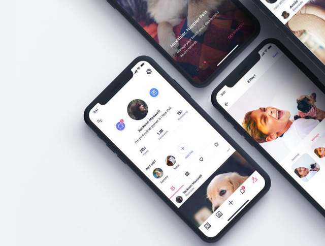 80多个独特的iOS X屏幕宠物社交网络和健康跟踪应用程序UI工具包（含sketch和XD源文件）