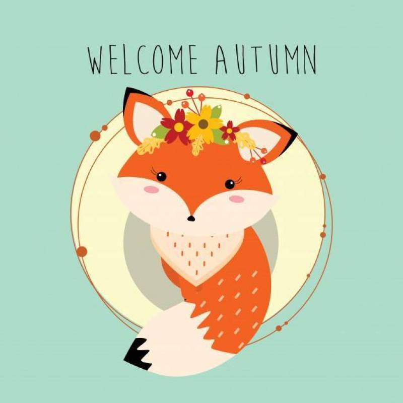小狐狸欢迎秋天