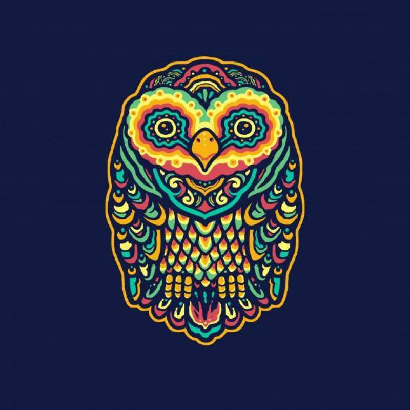 Colorful Owl Mandala Illustration