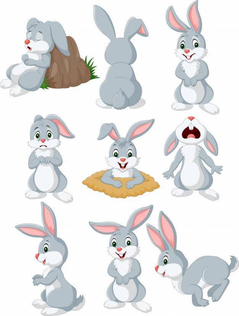 与另外姿势和表示的动画片兔子