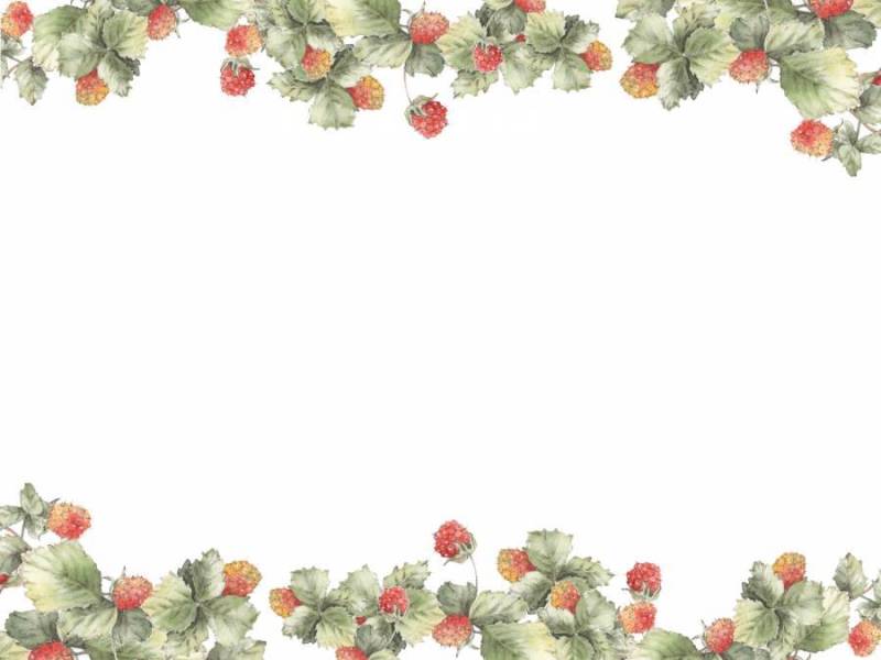 花框架182 - 野草莓，树莓花框架
