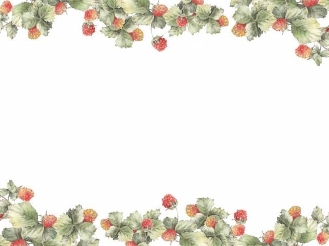 花框架182 - 野草莓，树莓花框架