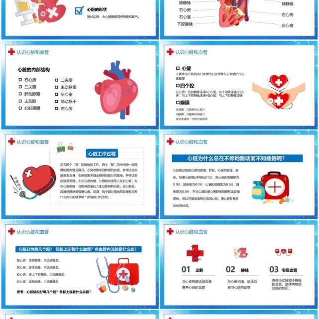 卡通风医疗百科之血液循环知识讲座PPT模板