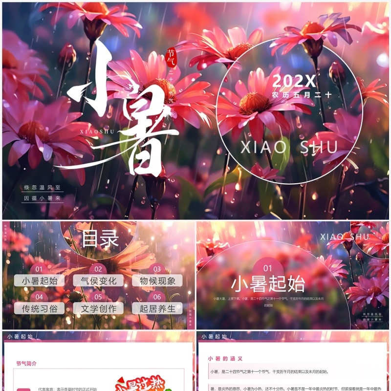 粉色插画风二十四节气之小暑介绍PPT模板