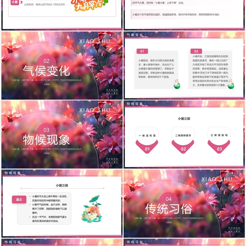 粉色插画风二十四节气之小暑介绍PPT模板