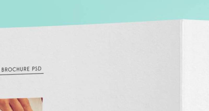 Psd Bi Fold Mockup模板Vol6