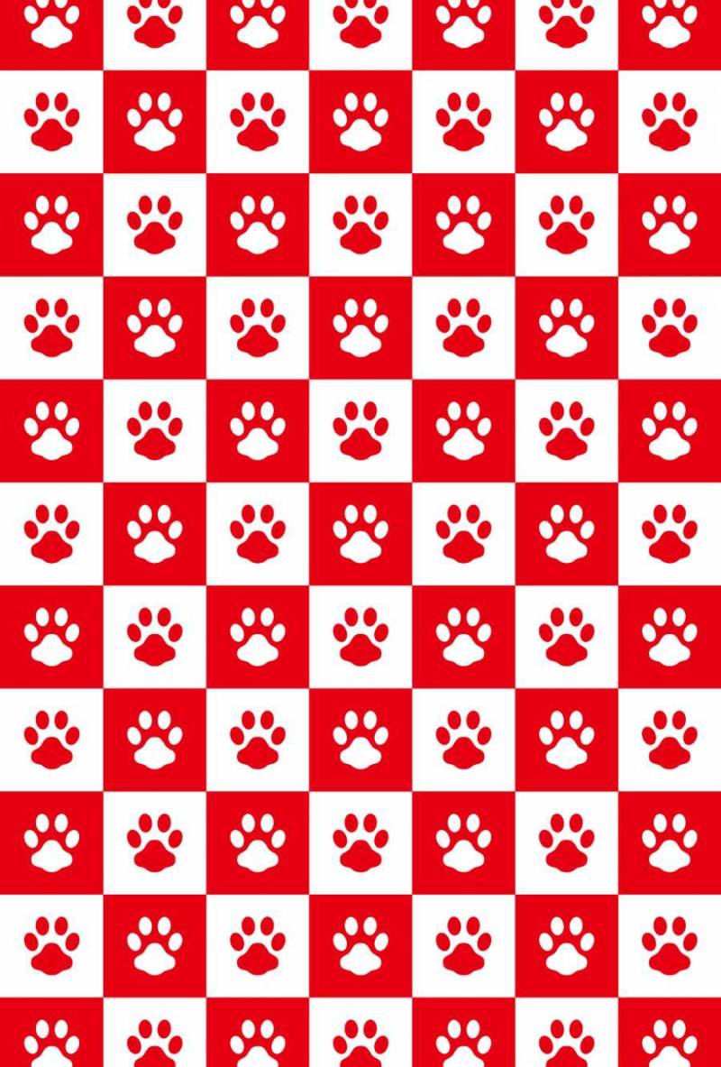 检查模式_狗ashtoness _红色和白色