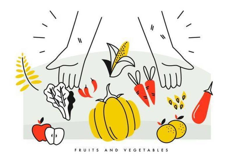 农民的手充分的收获水果和蔬菜矢量图