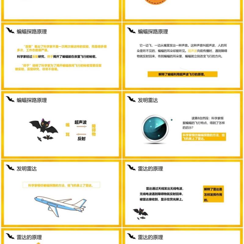 部编版四年级语文上册蝙蝠和雷达课件PPT模板