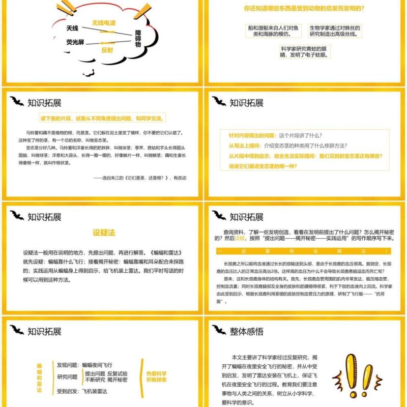 部编版四年级语文上册蝙蝠和雷达课件PPT模板