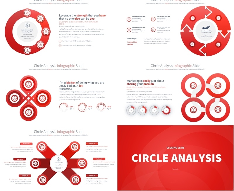 圆形信息图分析PPT模板Circle Analysis - Color 10 (Red)